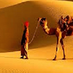 Travelers Jaipur आइकन