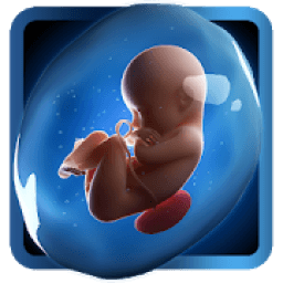 PregApp - 3D Pregnancy Tracker icon