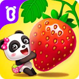 Baby Panda's Fruit Farm