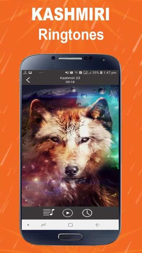 Kashmiri Ringtones Free Offline screenshot 3