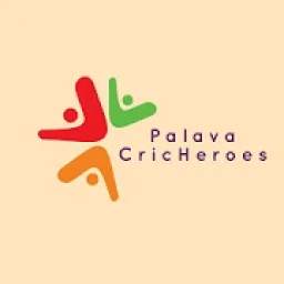 PALAVA Cricheroes 1.0
