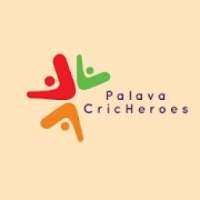 PALAVA Cricheroes