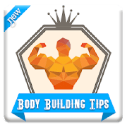 ikon Gym &amp; Body Building Tips
