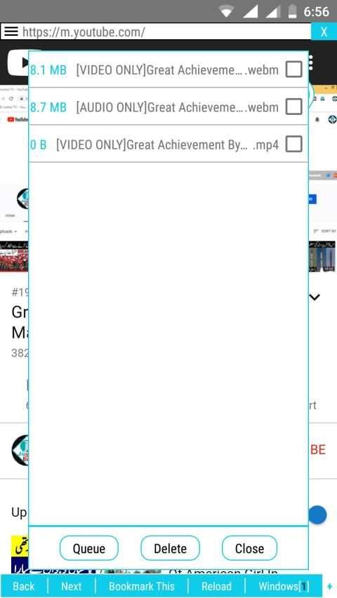Vitual VideoDownloader screenshot 5