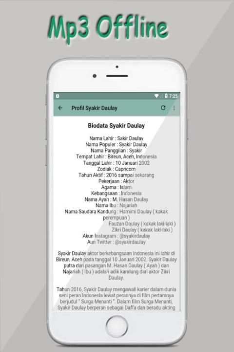 Syakir Daulay Sholawat Offline screenshot 1