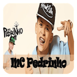 ikon MC Pedrinho MUSICA Internet
