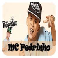 MC Pedrinho MUSICA Internet