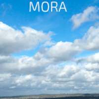 Your Travel Mora