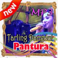 Musik Asik Tarling Dangdut Pantura Geboi on 9Apps