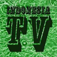 TV Indonesia - All in One (Langsung) on 9Apps