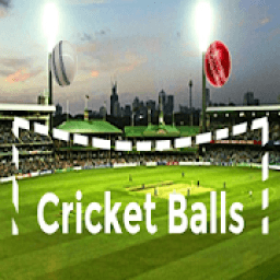 ikon Cricket Balls