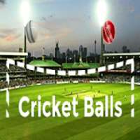 Cricket Balls