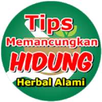 Cara Cepat Memancungkan Hidung on 9Apps