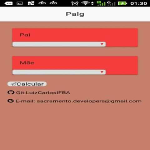 Palg screenshot 2