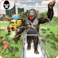 Deadly Kong Rampage Gorilla Transport Simulator 19