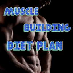 Muscle Building Diet Plan