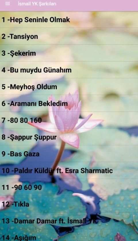 İsmail YK Şarkıları ( İnternetsiz 40 Şarkı ) 5 تصوير الشاشة