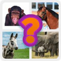 Animal universe - guess the animal