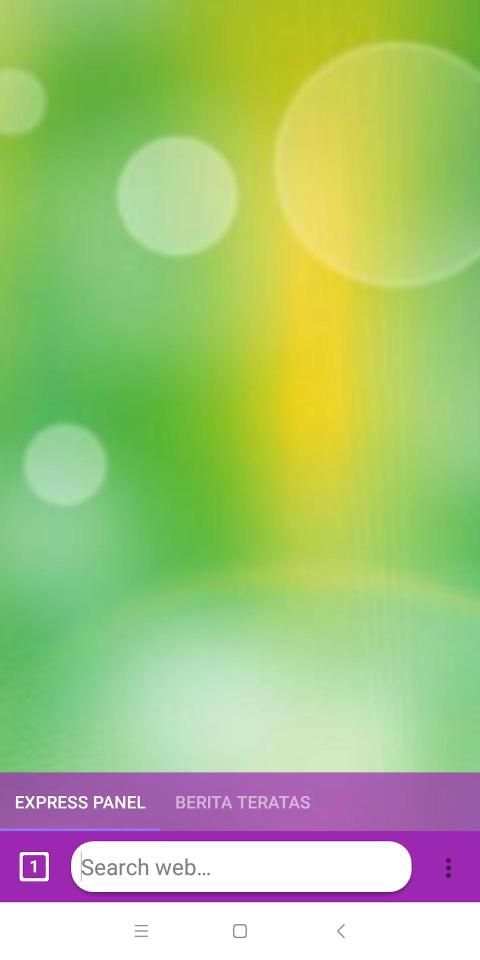 Mini Browser apps स्क्रीनशॉट 4