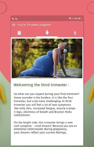 Pregnancy Week By Week screenshot 2