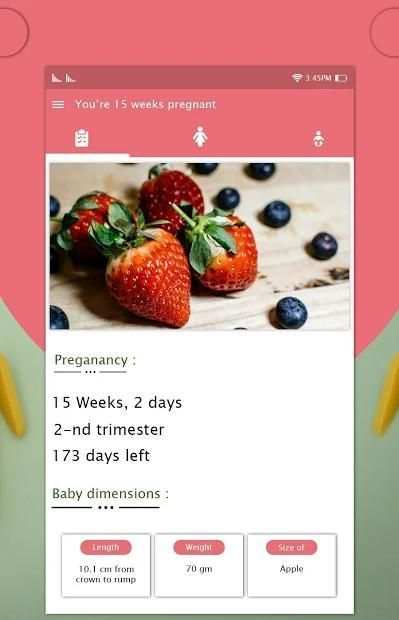 Pregnancy Week By Week screenshot 3