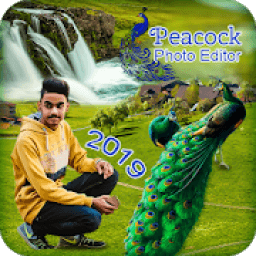 Peacock photo frames icon