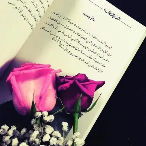 ���� ���� ������ �� ���� ������