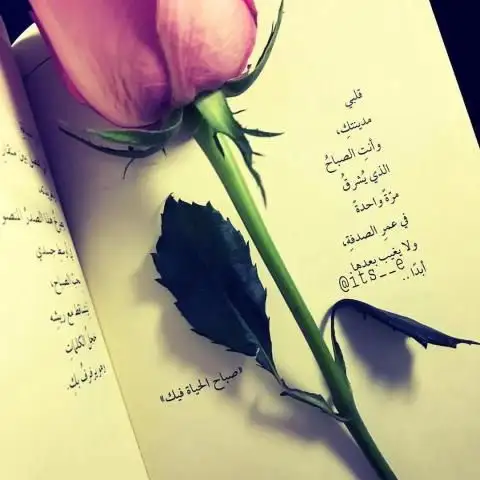 ���� ���� ������ �� ���� ������