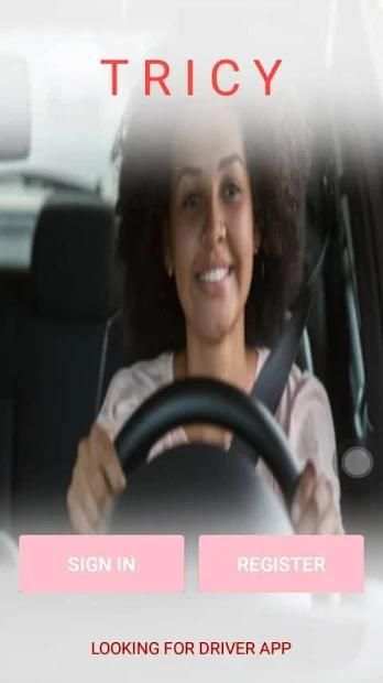 Tricy Driver screenshot 1
