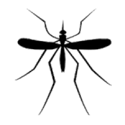 ikon Mosquito Sound