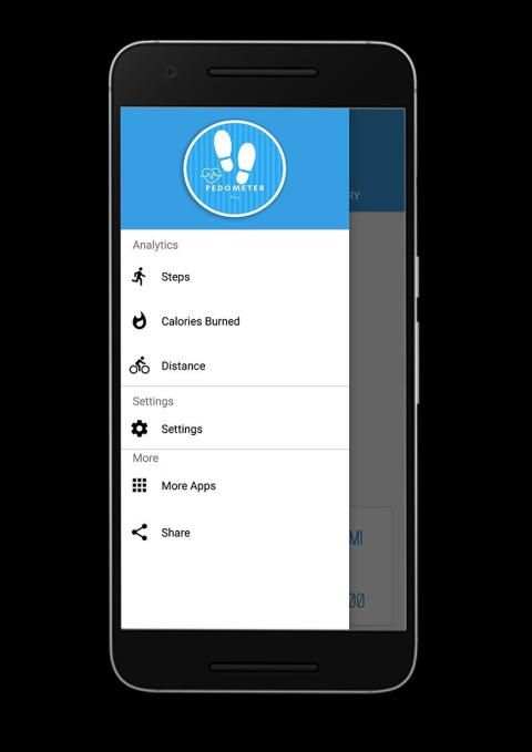 Pedometer Pro स्क्रीनशॉट 4