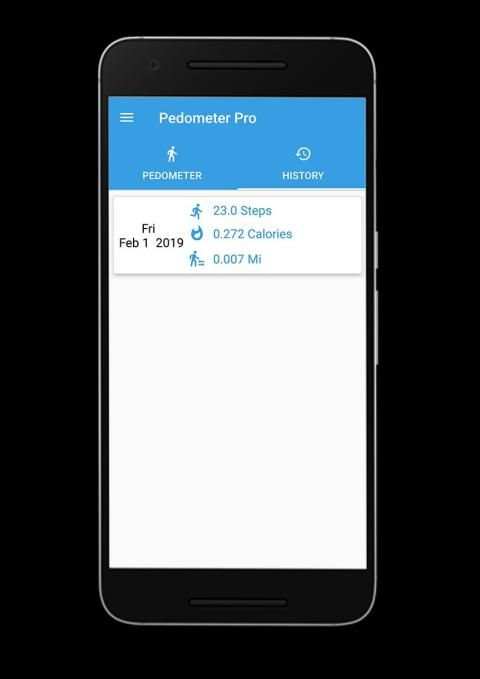 Pedometer Pro स्क्रीनशॉट 5