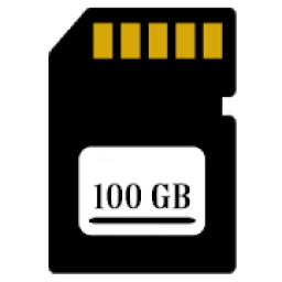 ikon 100 GB Card