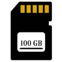 100 GB Card