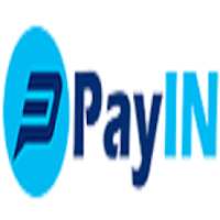 PayIN आइकन
