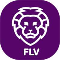 FLV Player For Android on 9Apps