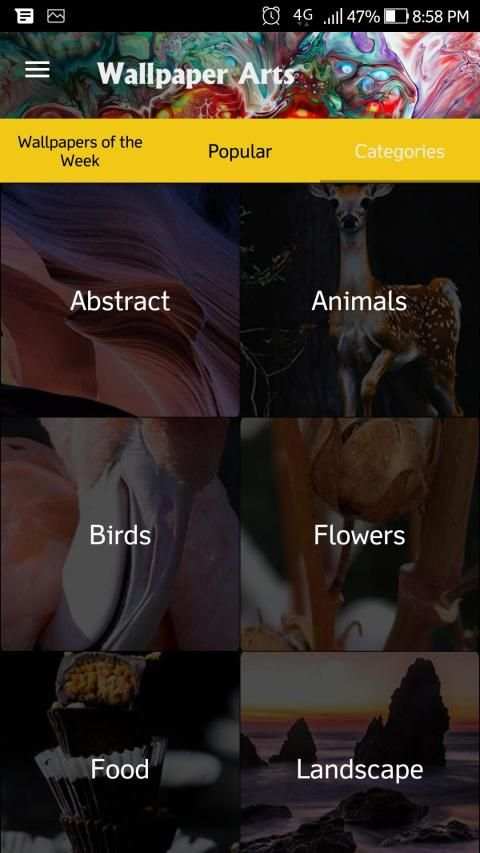 Wallpaper Arts - HD/FHD Wallpapers, Wallpapers स्क्रीनशॉट 14
