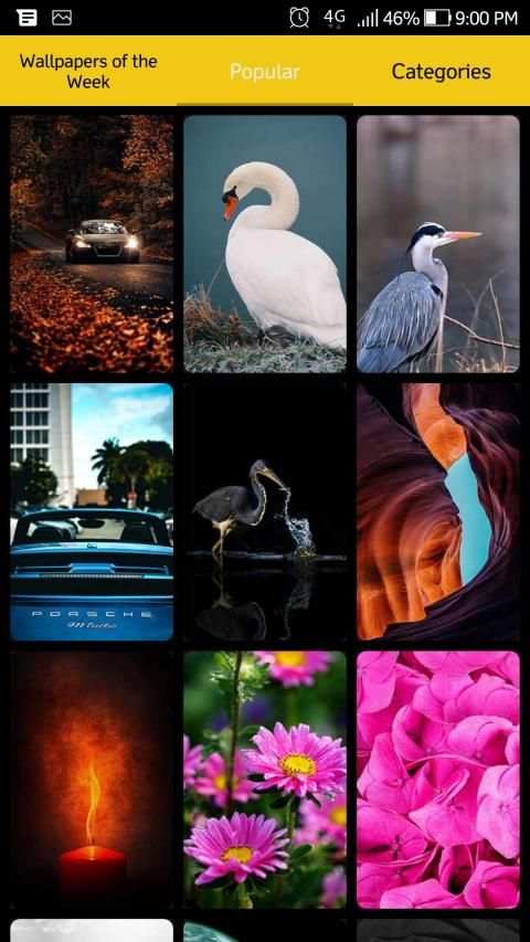 Wallpaper Arts - HD/FHD Wallpapers, Wallpapers स्क्रीनशॉट 9