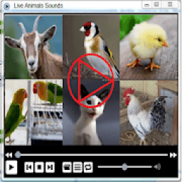 ikon Animals Sounds with Videos