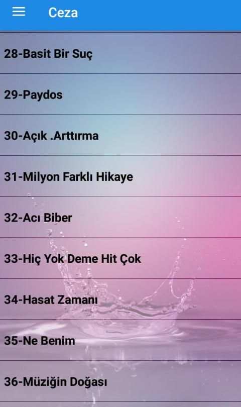 Ceza Şarkıları (İnternetsiz 40 Şarkı) screenshot 2