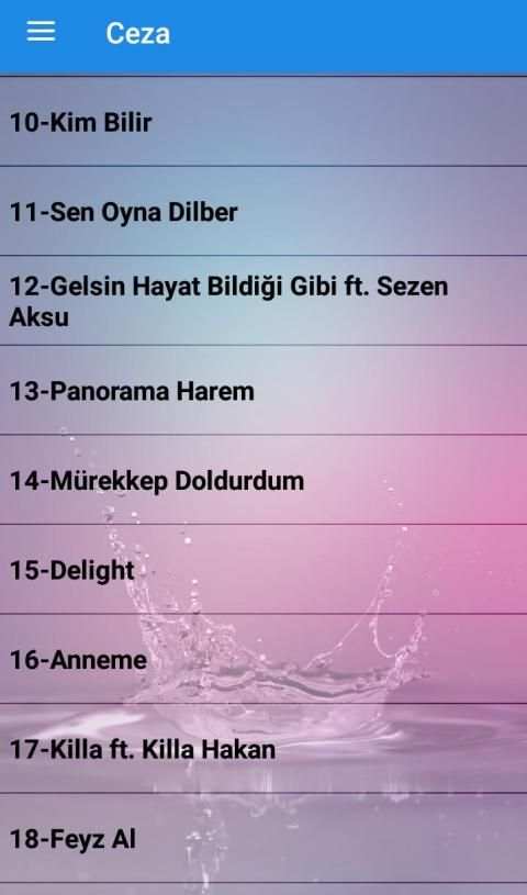 Ceza Şarkıları (İnternetsiz 40 Şarkı) screenshot 3