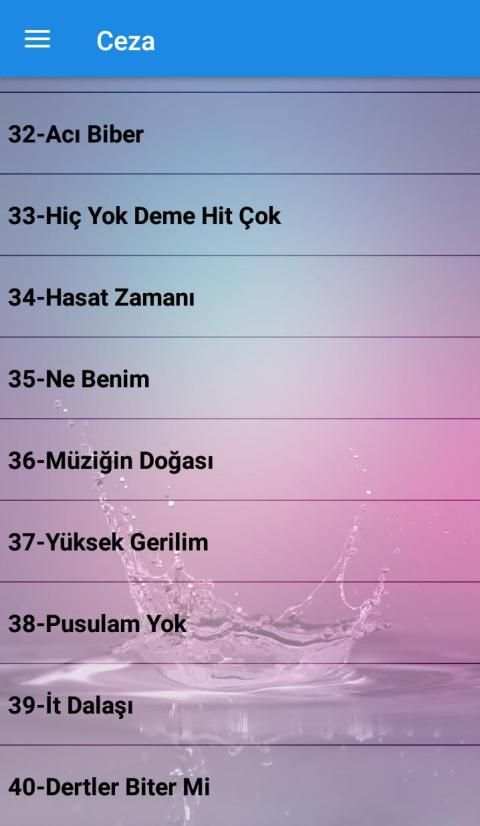 Ceza Şarkıları (İnternetsiz 40 Şarkı) screenshot 1