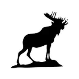 Moose 495