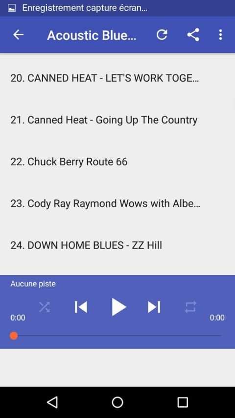 Best Acoustic Blues Songs screenshot 4