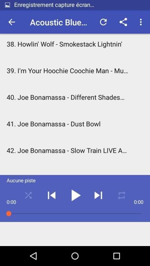 Best Acoustic Blues Songs screenshot 3