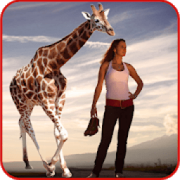 Wildlife Photography Editor आइकन