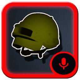 PUBG VOICE 1.0