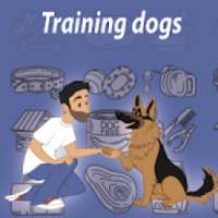 Training dogs on 9Apps