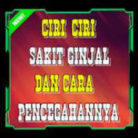 Ciri-Ciri Sakit Ginjal dan Cara Pencegahannya on 9Apps