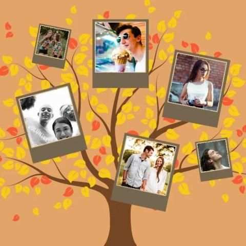 Tree Photo Frame screenshot 1